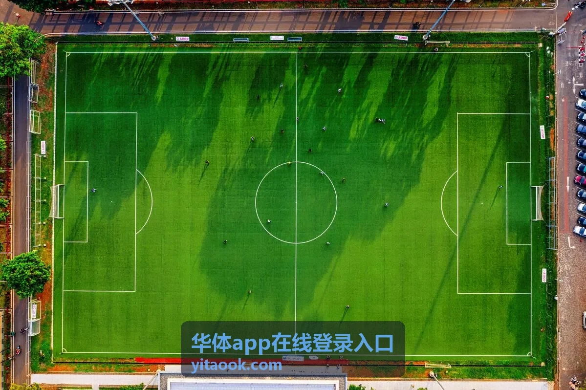 华体app在线登录入口的三段式安全登录路径示意